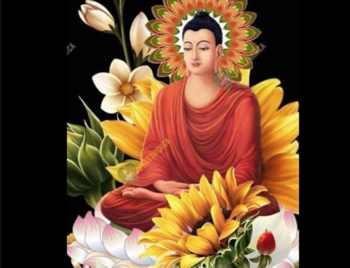 Benedetta Buddha Purnima 2022