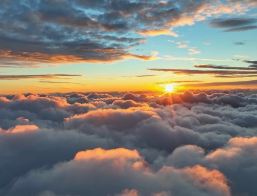 Felice e Sereno Gennaio