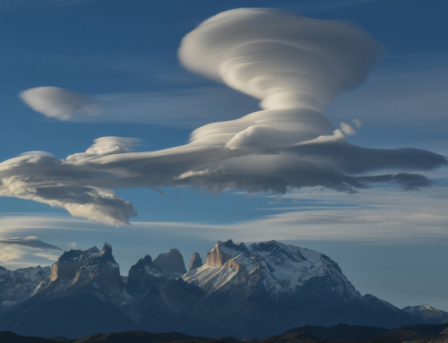 Felice e Sereno Febbraio